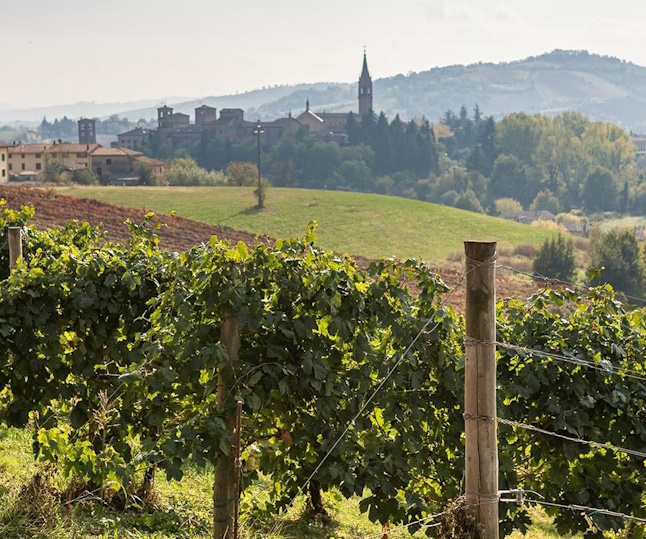 Cantina-Settecani-Lambrusco-Grasparossa-di-Castelvetro